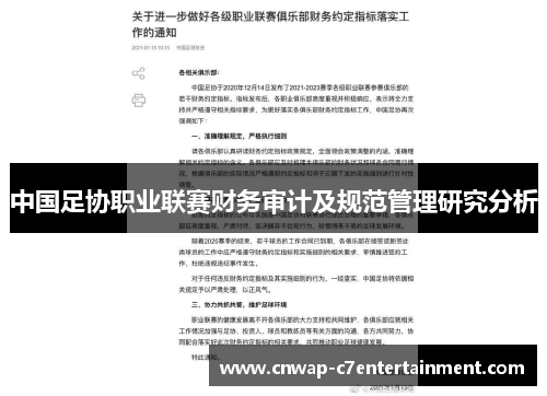 中国足协职业联赛财务审计及规范管理研究分析